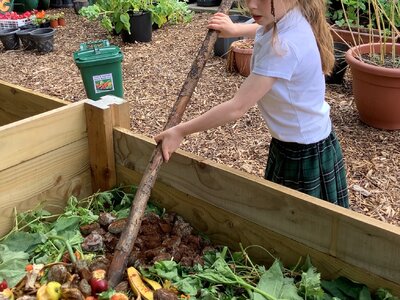 Image of Gardening Club Update! 