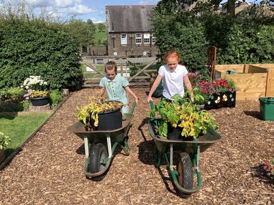 Image of Sowing, Growing and Harvesting Together!