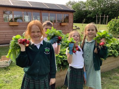 Image of Gardening Club Update - 05.06.25