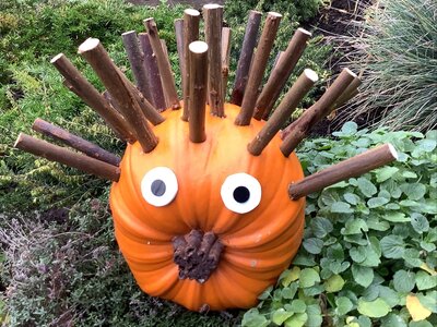 Image of We're Going on a Pumpkin Hunt!