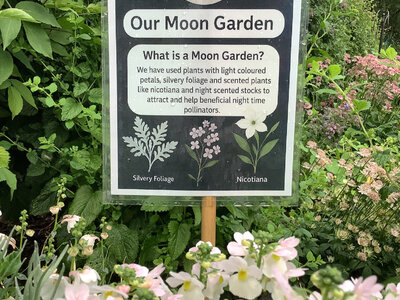 Image of Celebrating National Insect Week with Gardening Club!