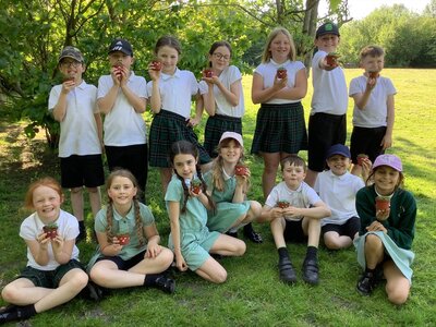 Image of Gardening Club Update! 