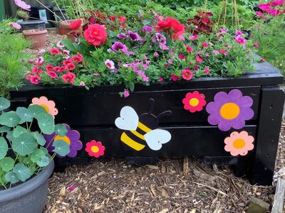 Image of  Our School Garden is Festival-Ready! 
