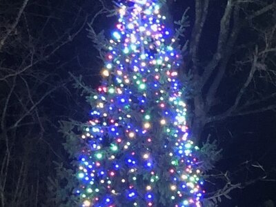 Image of Christmas Light Switch On