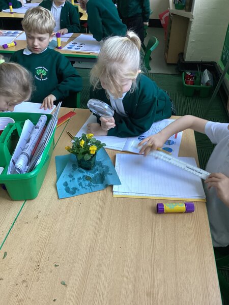 Image of Science Day!