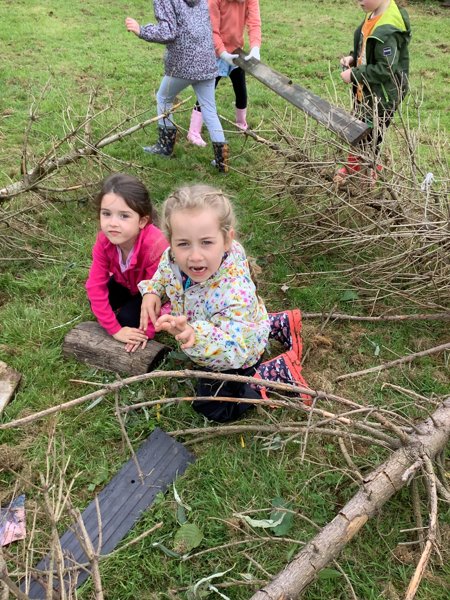 Year 1 - Create dragon traps! | Trawden Forest Primary School