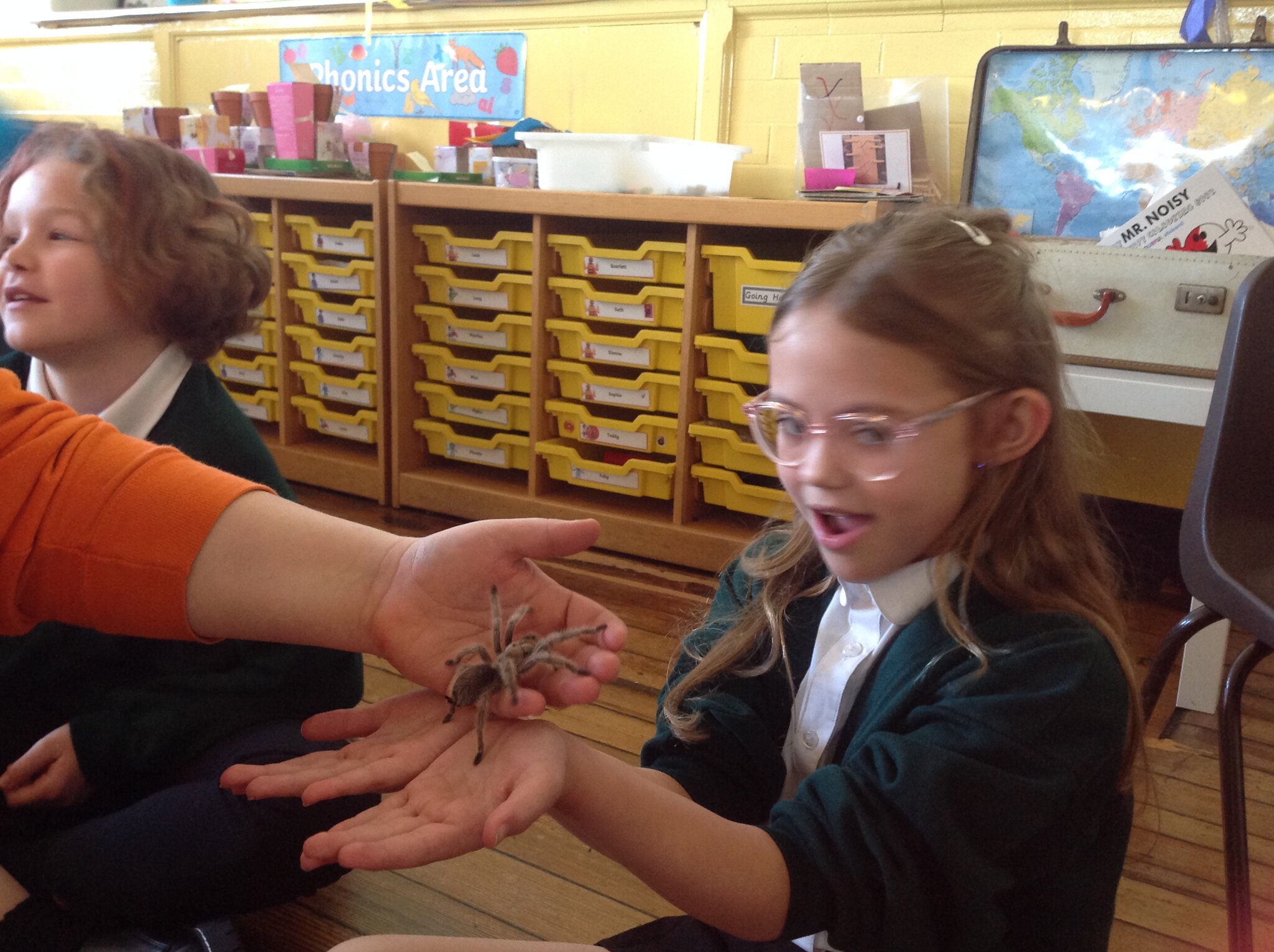 Image of Wild Science - Animals in School!