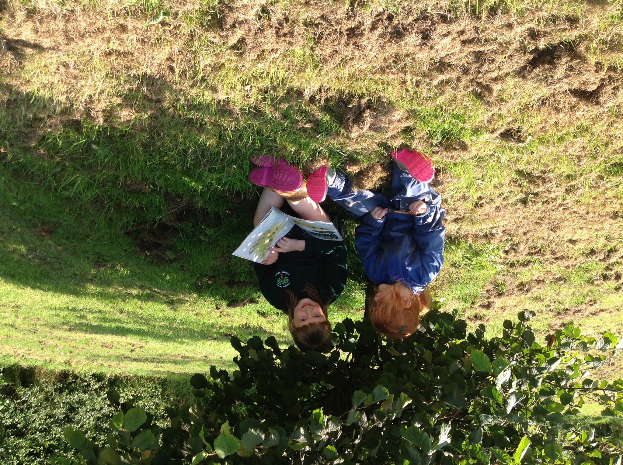 Image of We’re all going on a booknic…