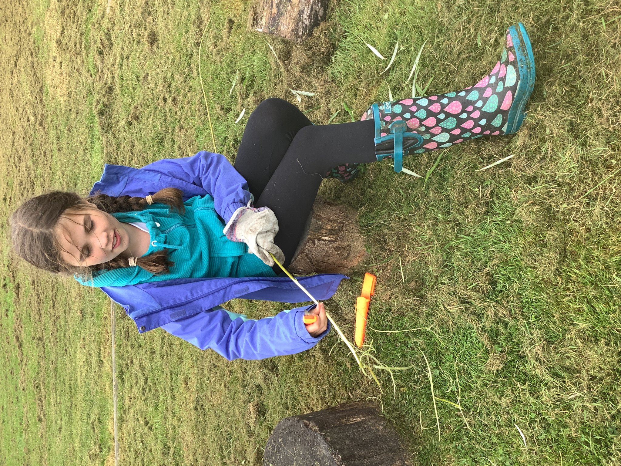 Image of Year 4 Forest School Fun