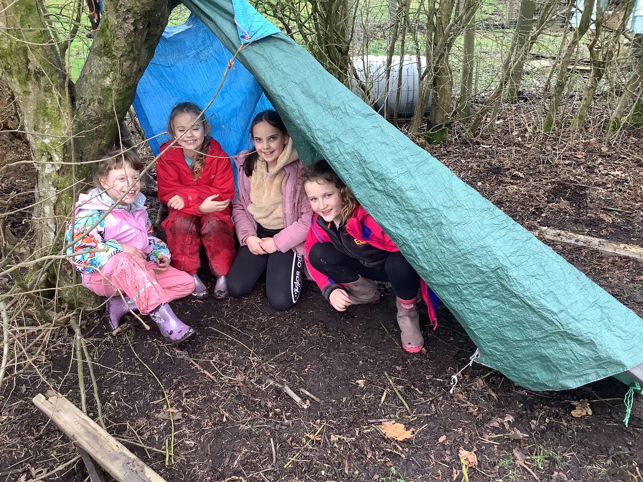 Image of Year 4 Den Building