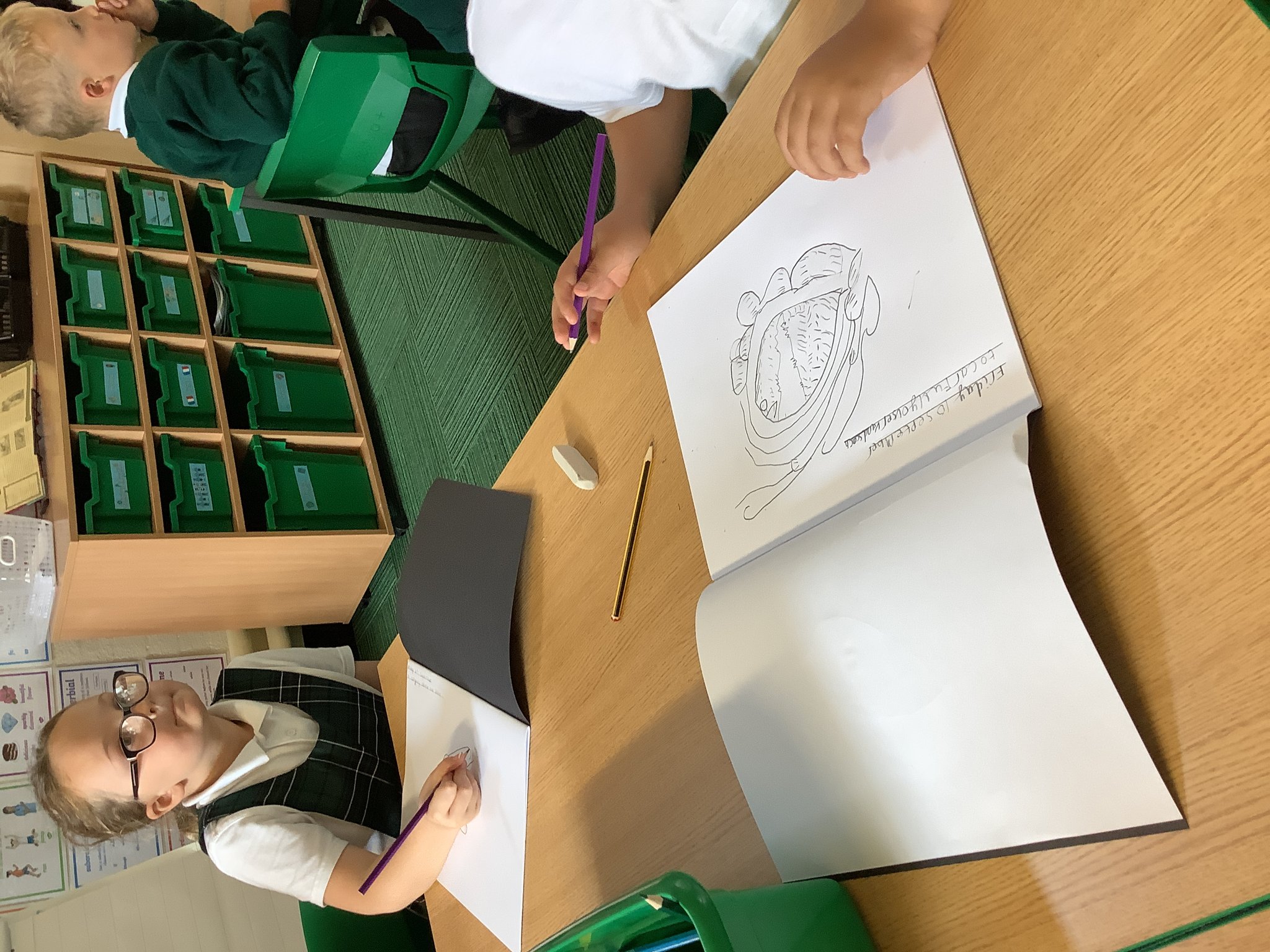 Image of Dragon sketching in Year 3