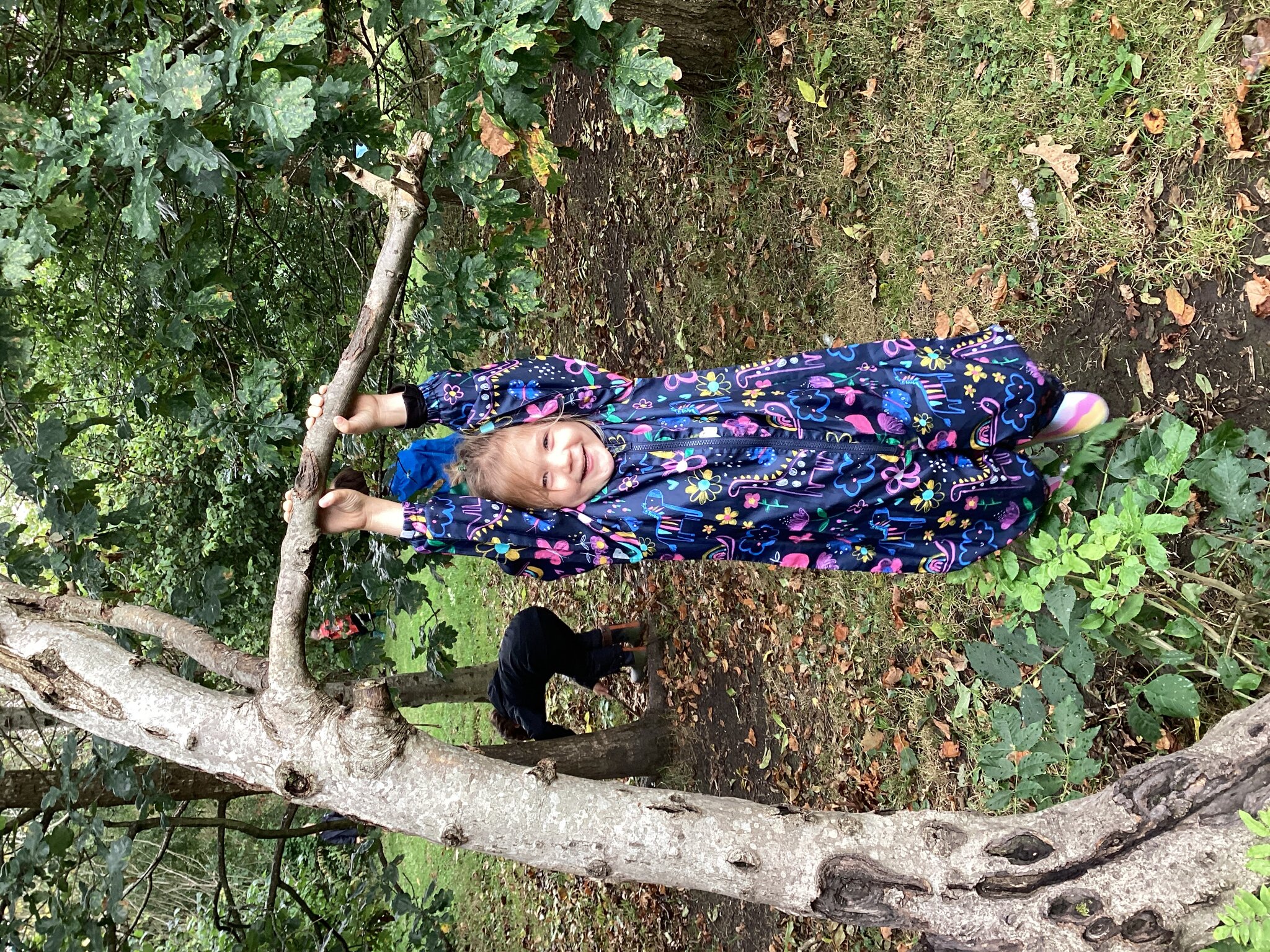 Image of First Forest Fun!