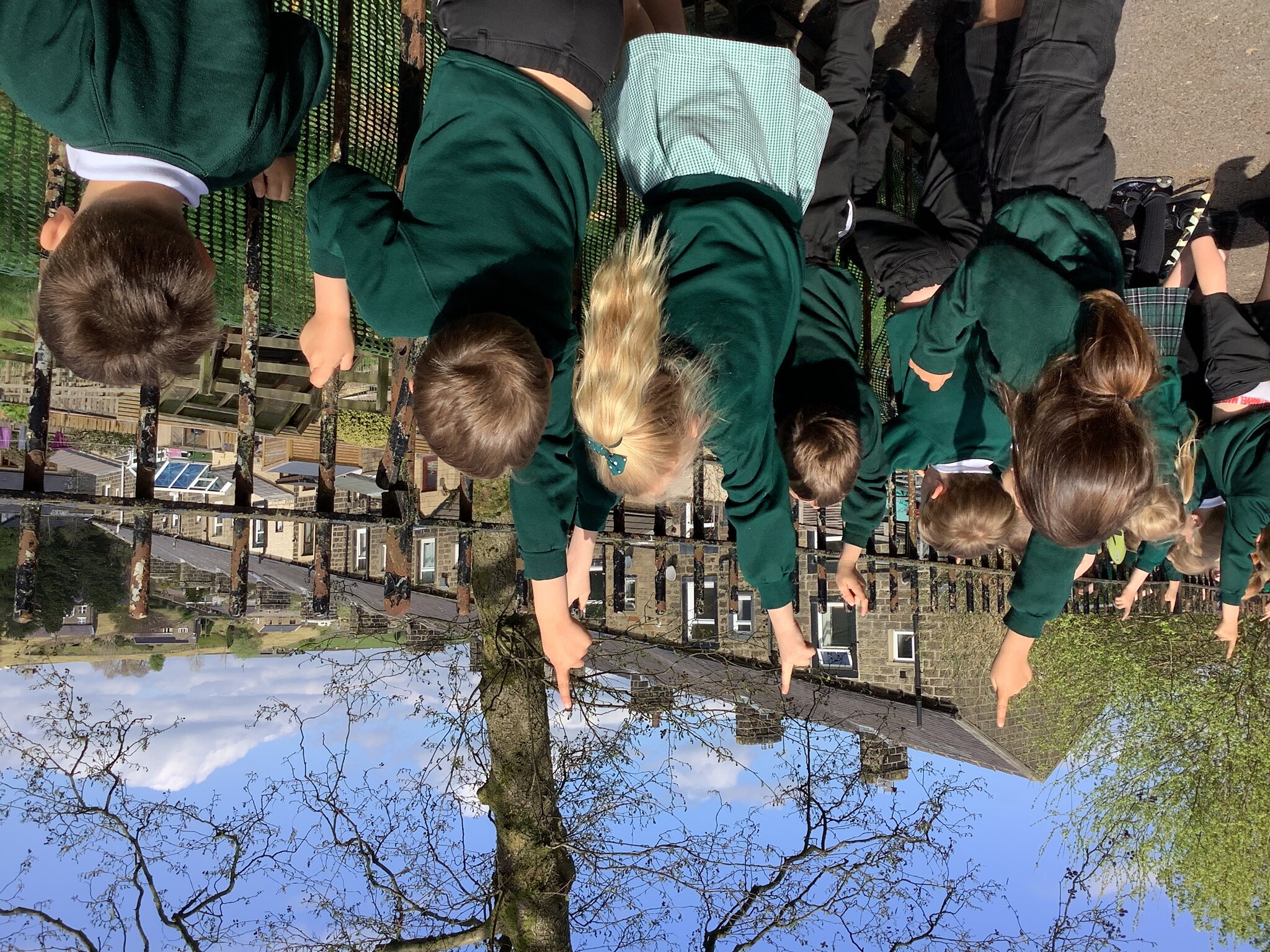 Image of Searching For Spring
