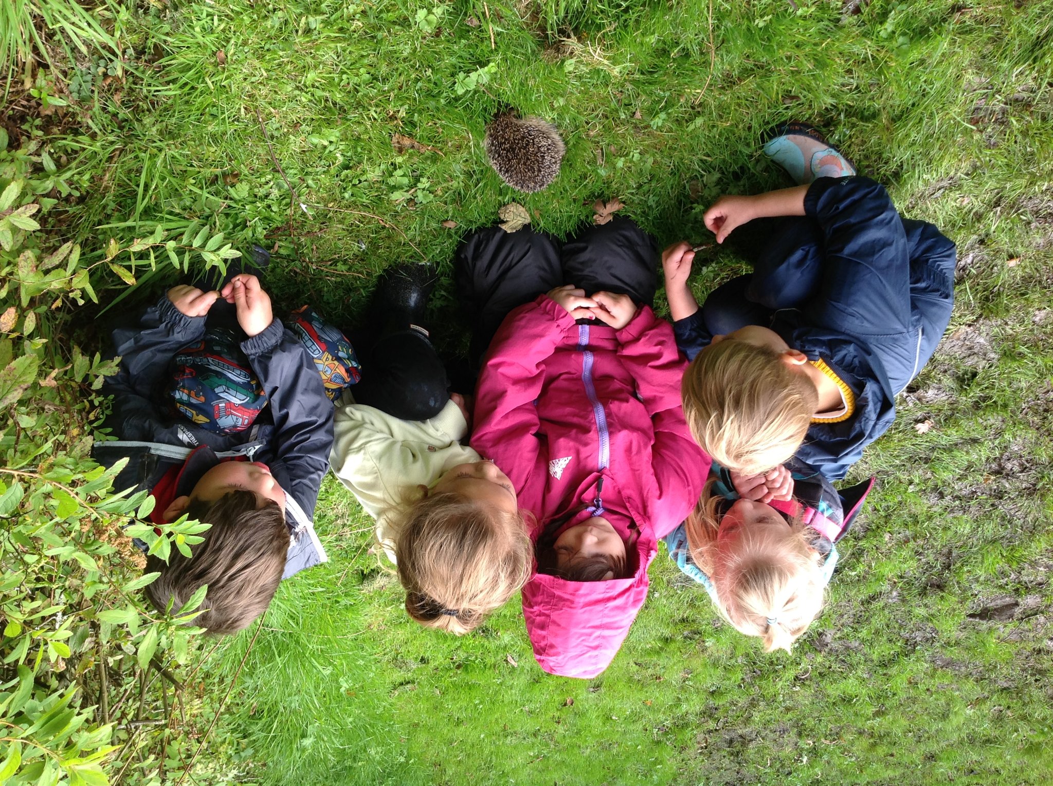 Image of Year 1 Forest School - Building Friendships in the Forest