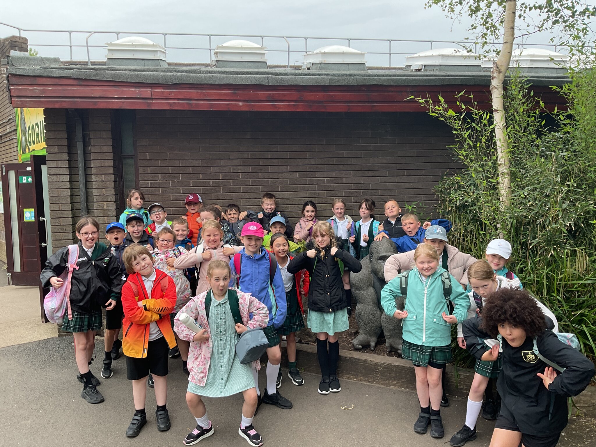 Image of Roars, Paws & Karaoke: Year 4’s Wild Day at Blackpool Zoo!