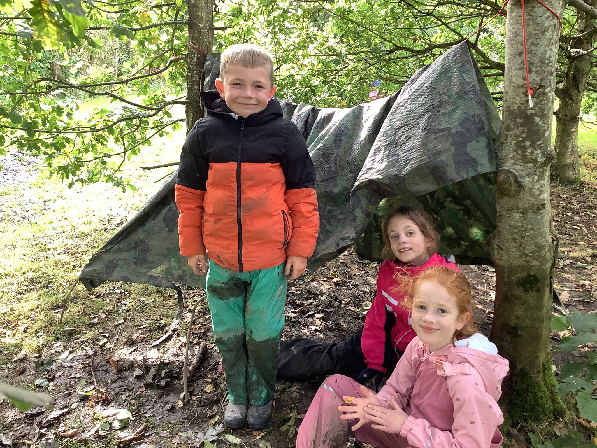 Image of Sheltering in the Forest