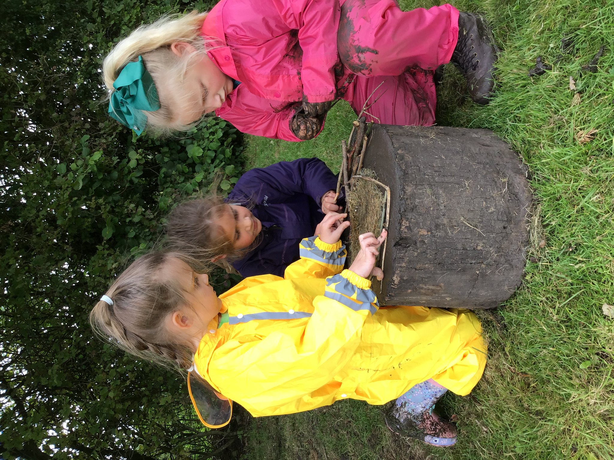 Image of Year 2 - Forest School