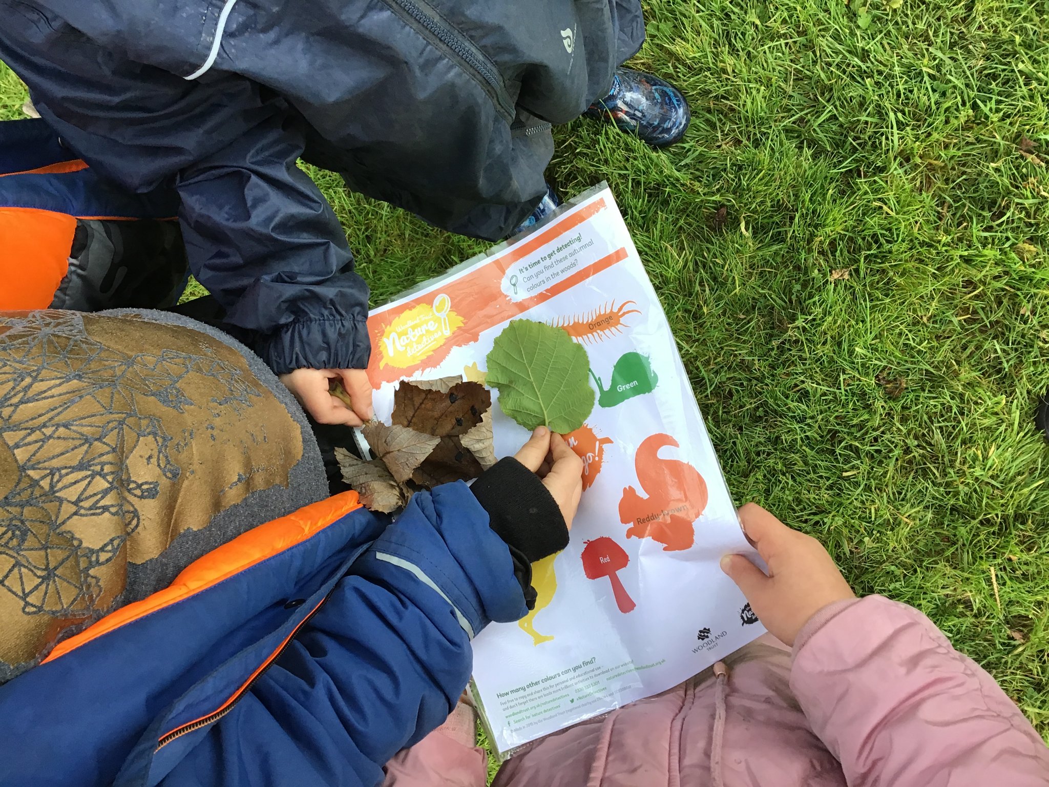 Image of Year 1 Forest School - Colour and Twig hunt