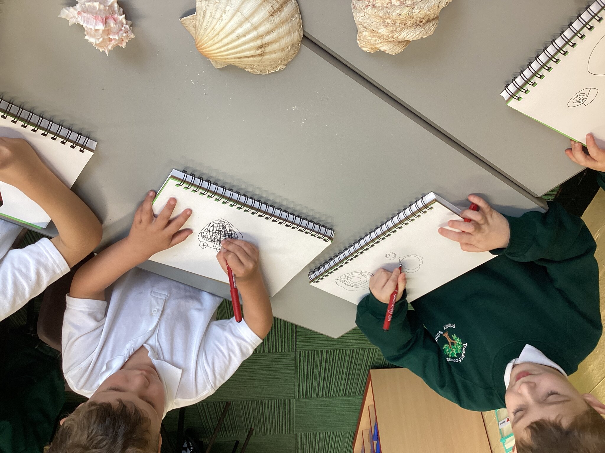 Image of Super Sketching Seashells