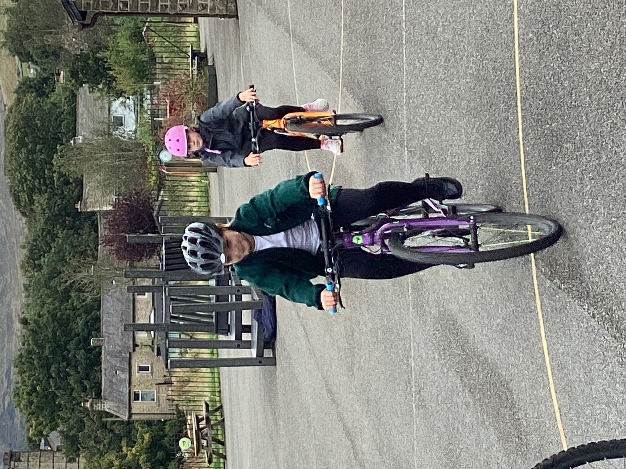 Image of Year 5 Bikeability- Go Velo 