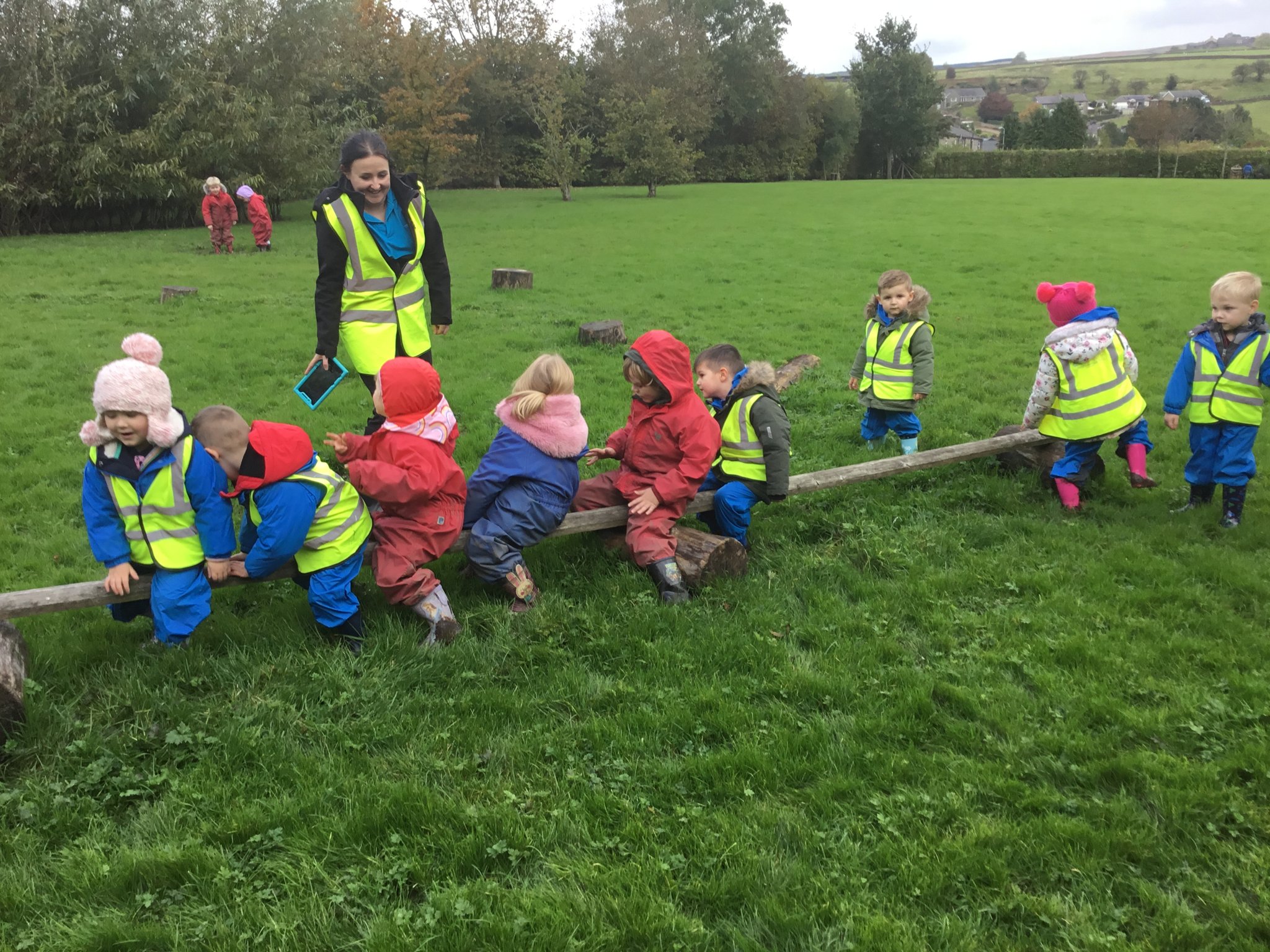 Image of Buttercup Visitors