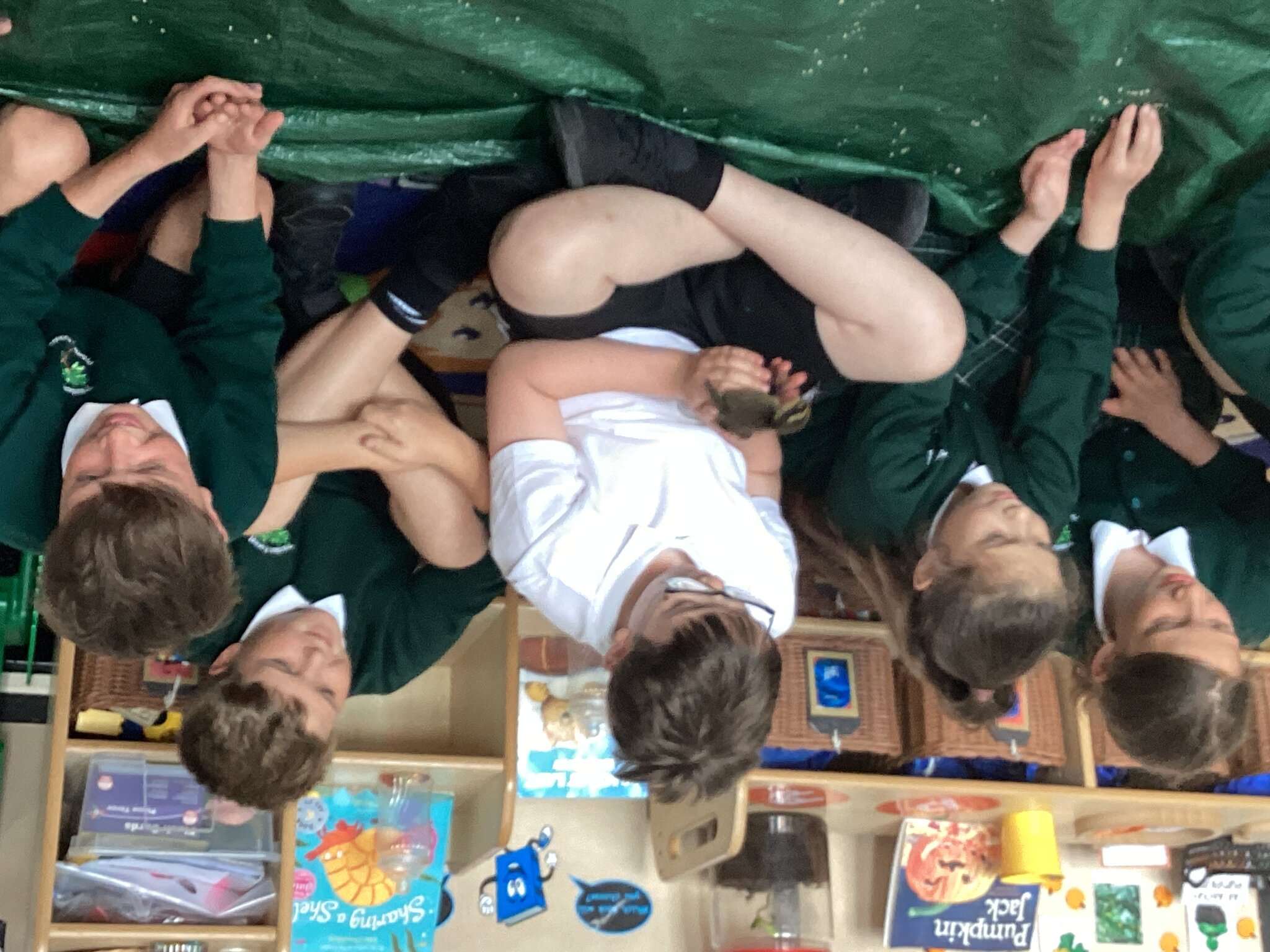 Image of Year 6 and the Ducklings