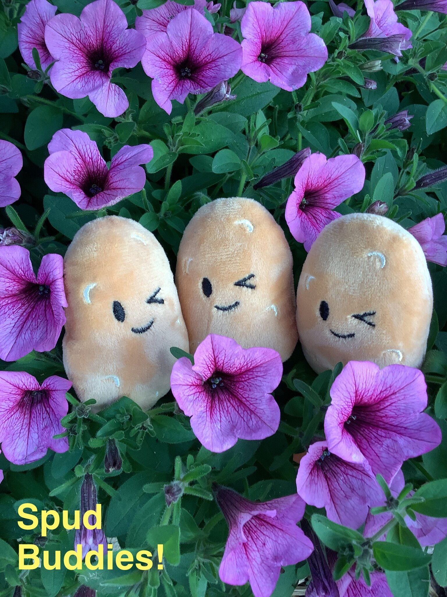 Image of Spud Buddies, Bug Buddies and Big Harvests