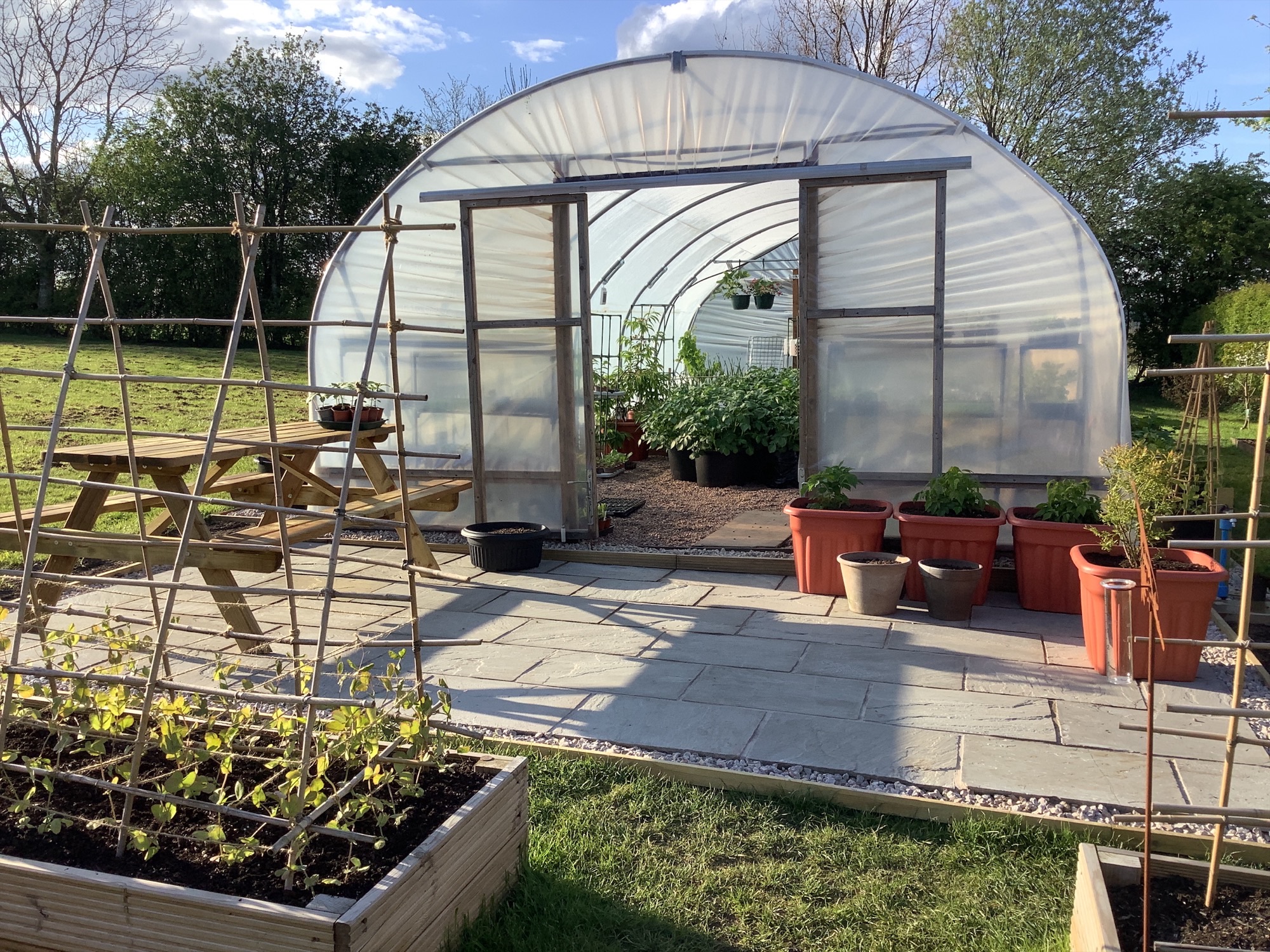 Image of Our School Garden Just Keeps on Growing!