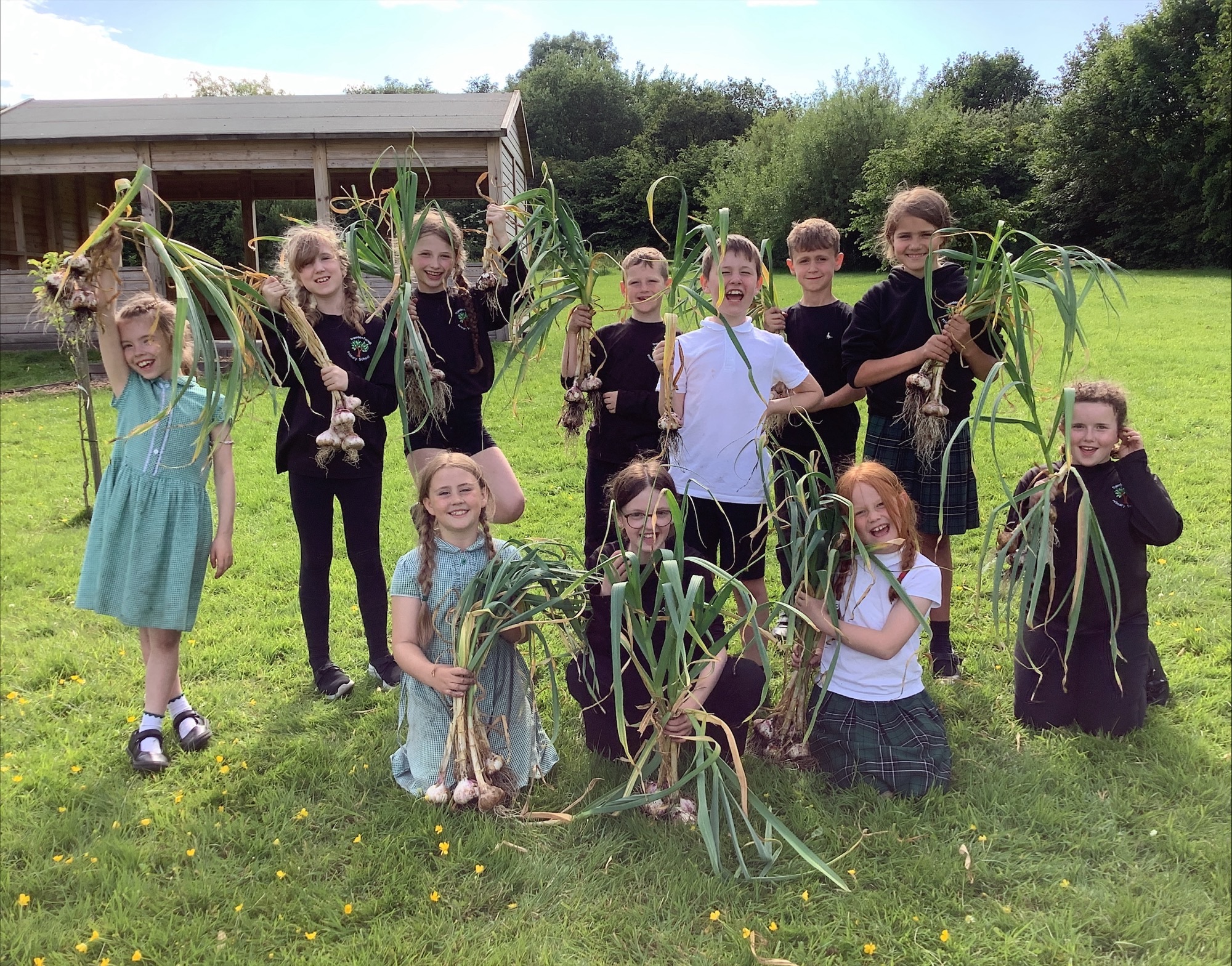 Image of A Look Back at Last Week in the Garden!