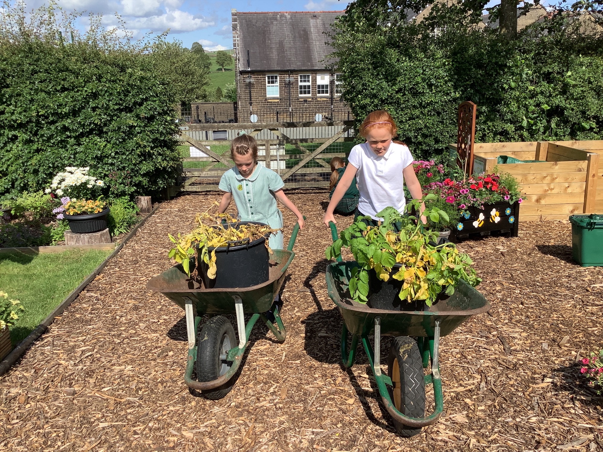 Image of Sowing, Growing and Harvesting Together!