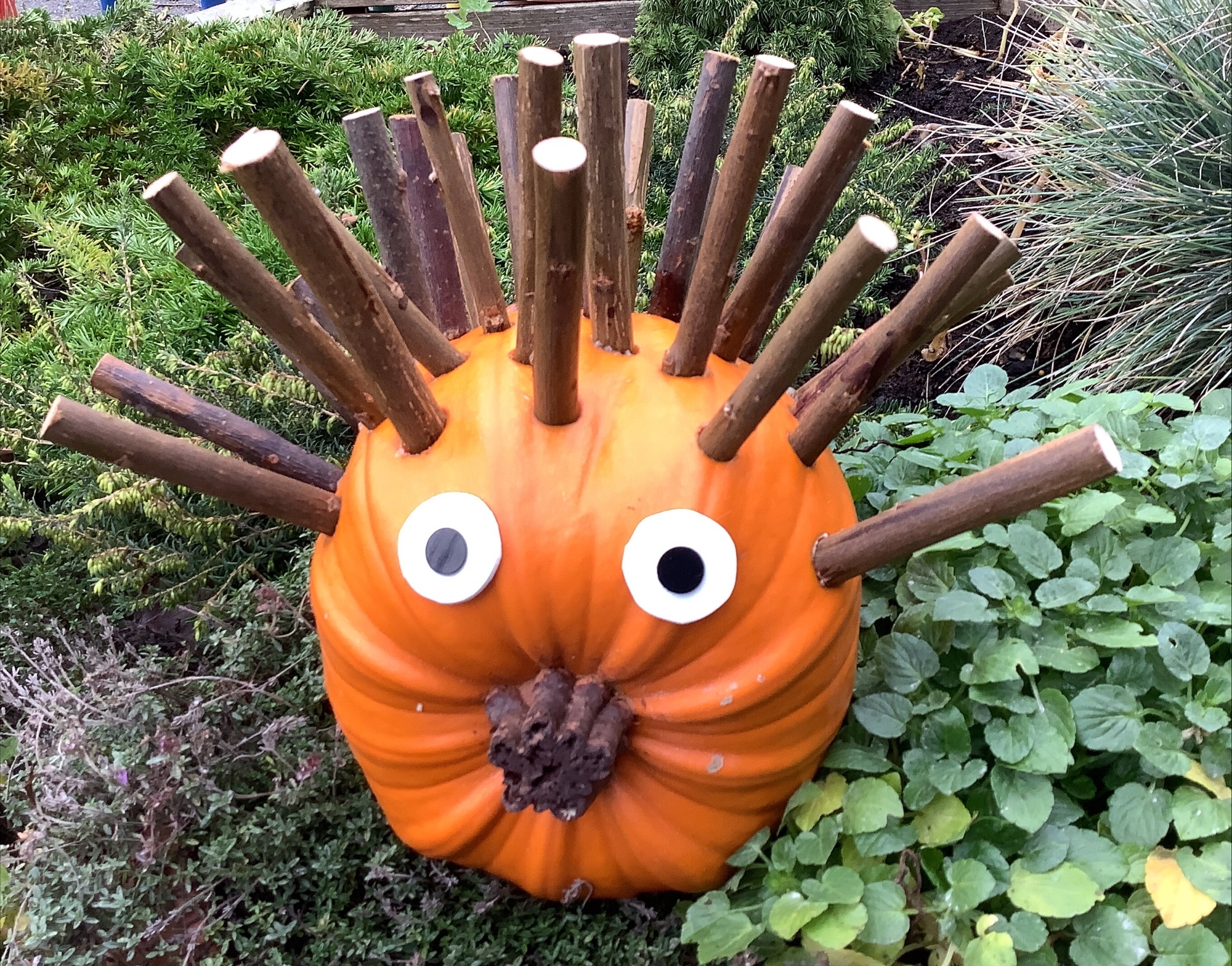 Image of We're Going on a Pumpkin Hunt!