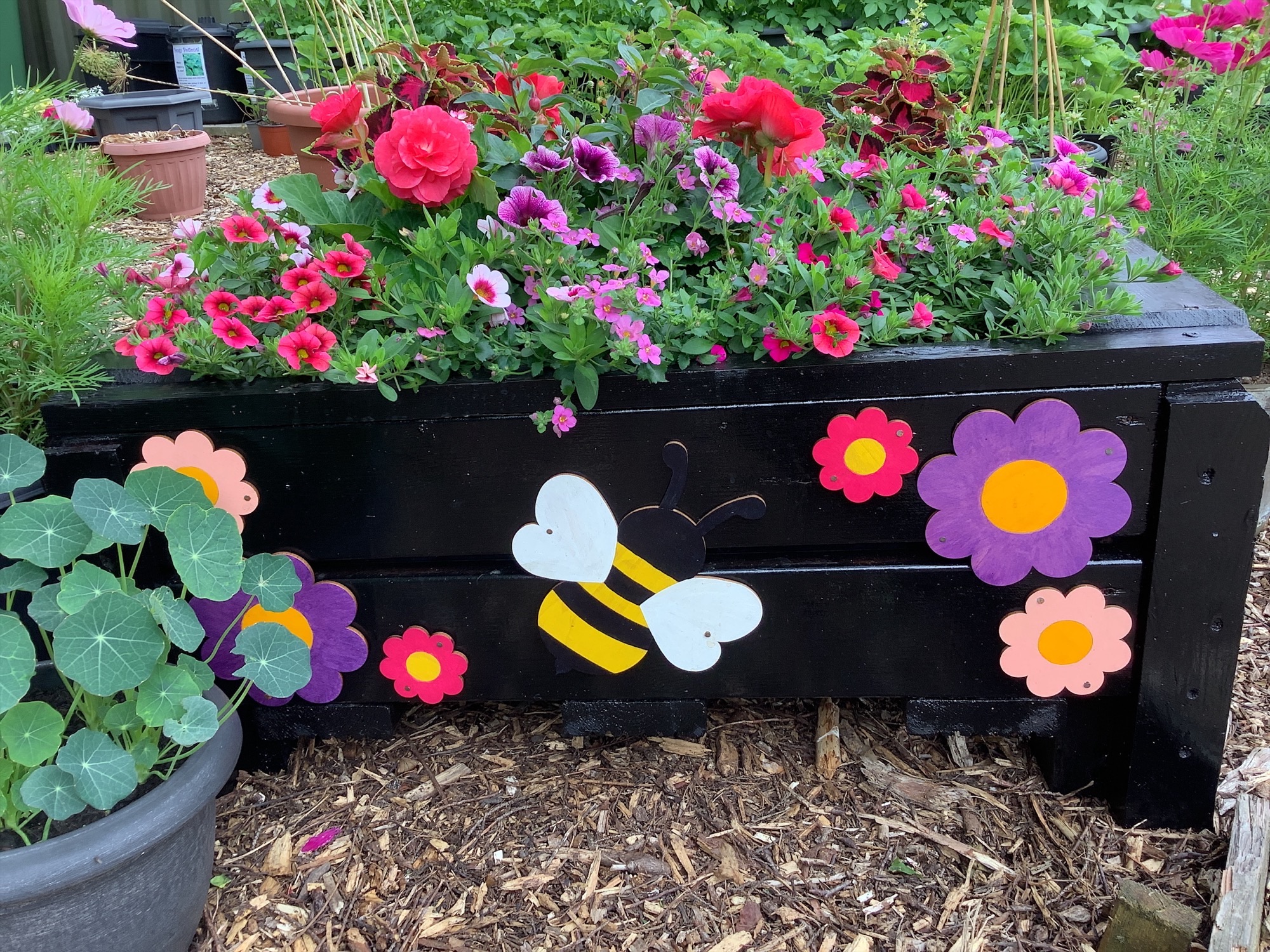 Image of Our School Garden is Festival-Ready!