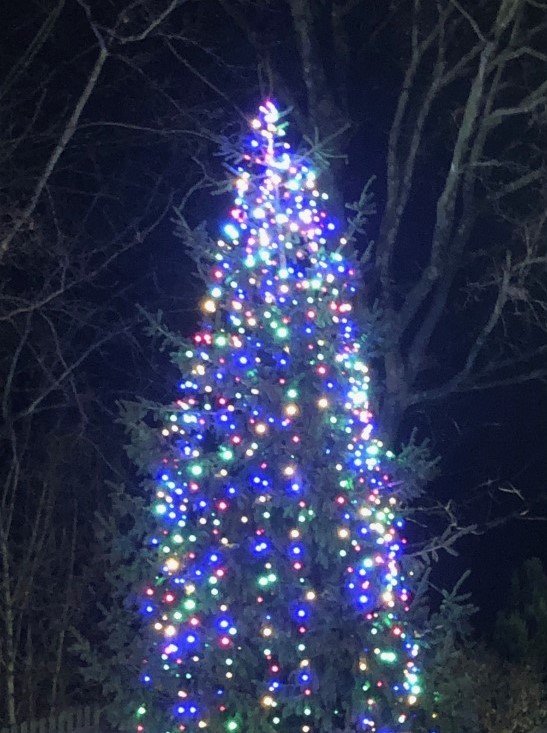 Image of Christmas Light Switch On