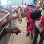 Image of Reception Trip to Odds Farm