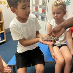 Image of Zoolab Visits Reception Class 2026
