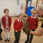 Image of Year 1 Owl Visit 