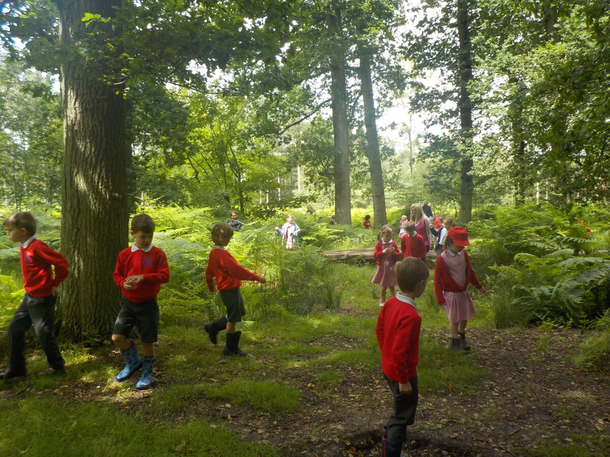 Year 2 visit Amersham Field Centre | Trinity St Stephen Church of ...