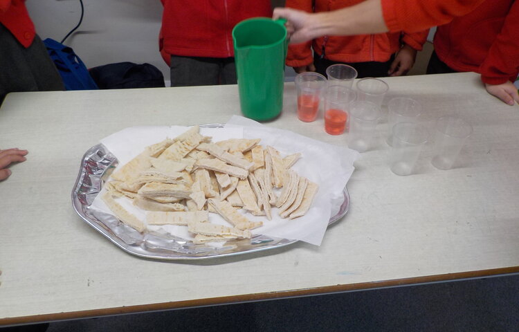 Image of Year 3 Peek of the Week March 2026