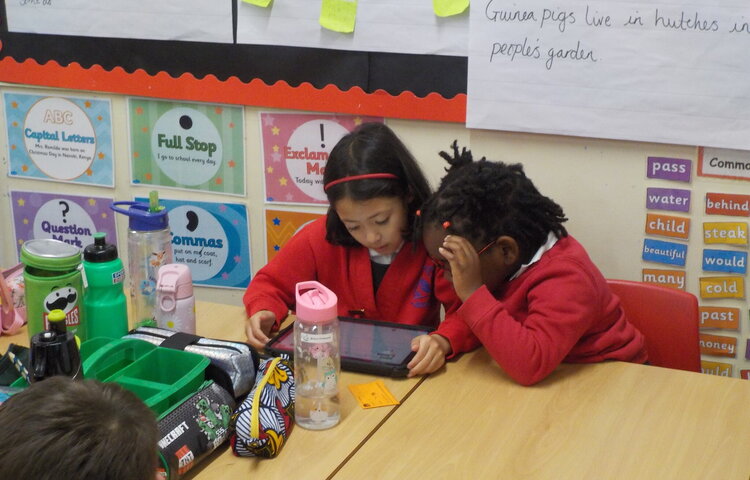 Image of Year 2 Peek of the Week