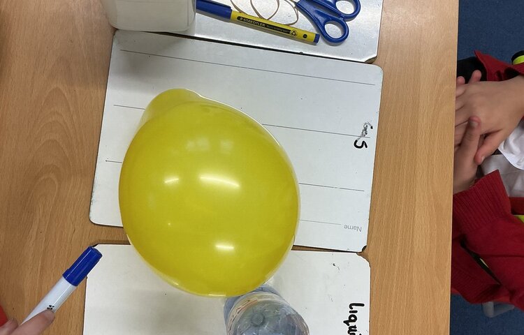 Image of A Peek of the Week in Year 4