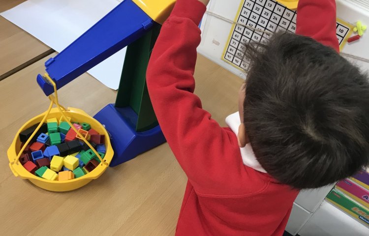 Image of Reception Peek of the Week