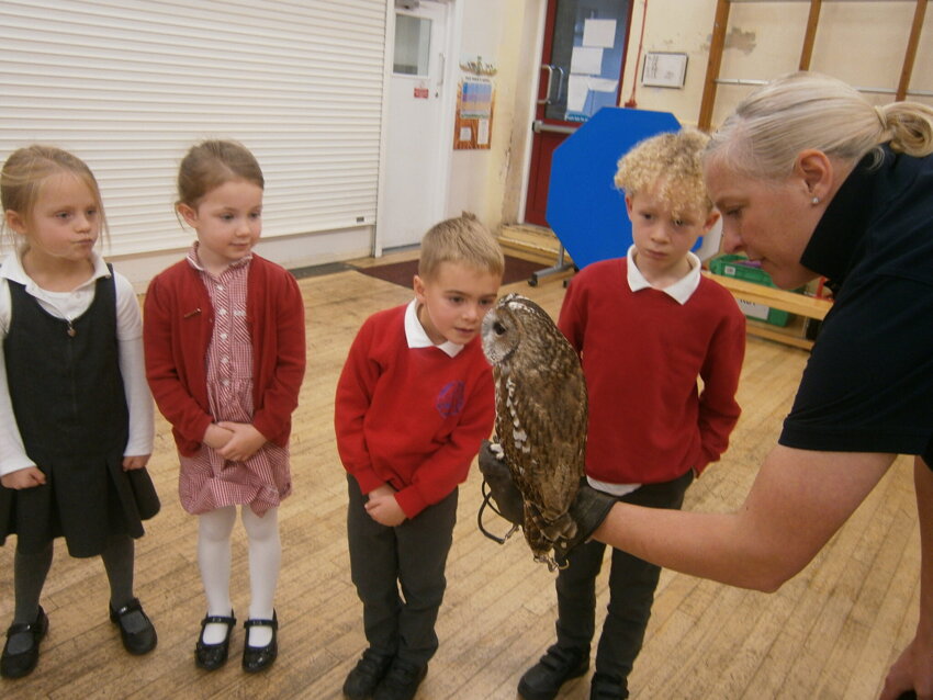 Image of Year 1 Owl Visit 