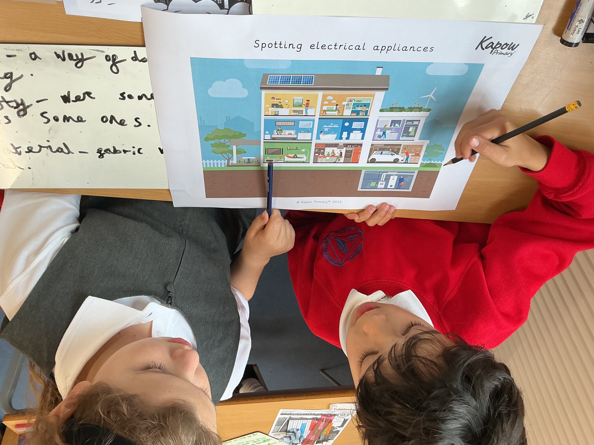 Image of Year 4 Peek of the Week 