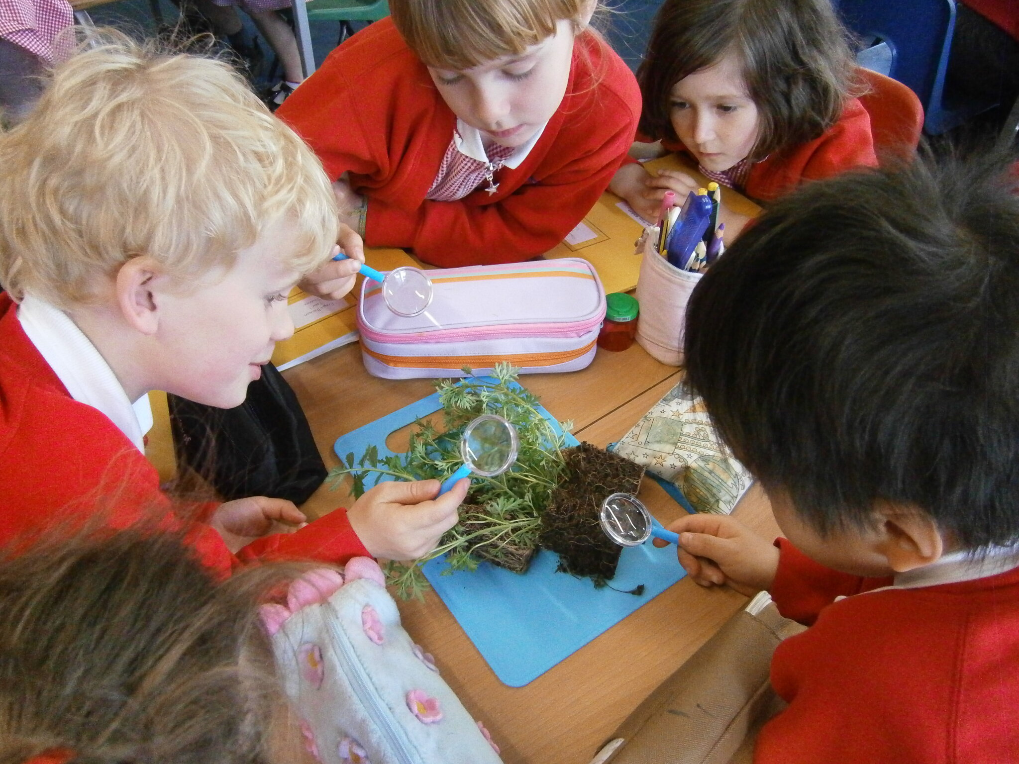 Image of A Peek of the Week in Year 1 