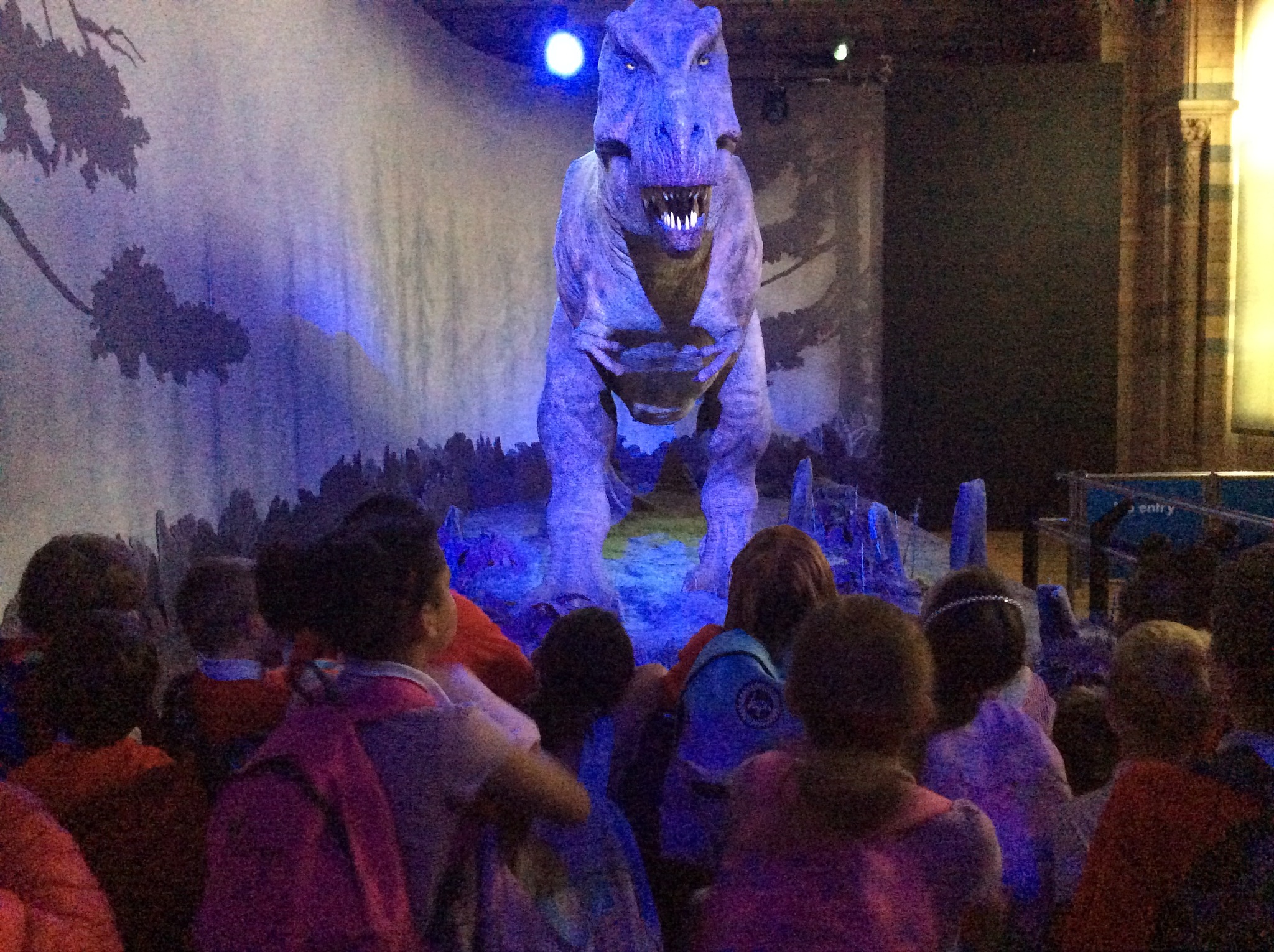 Image of Y3 Visit the natural history Museum 10.6.25