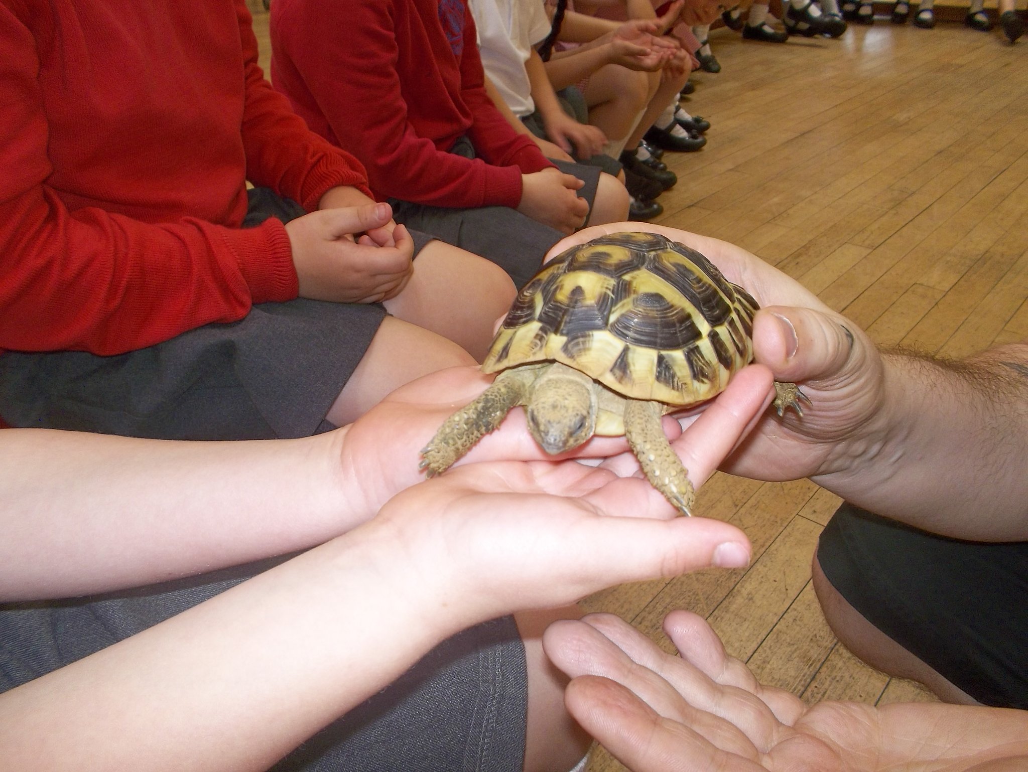 Image of Zoolab visits the Foundation class