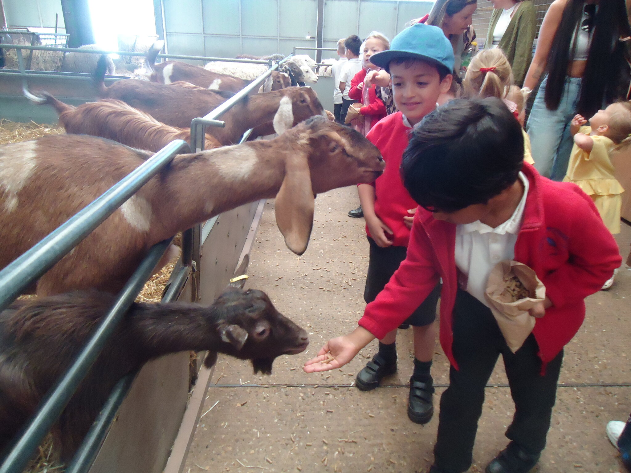 Image of Reception Trip to Odds Farm