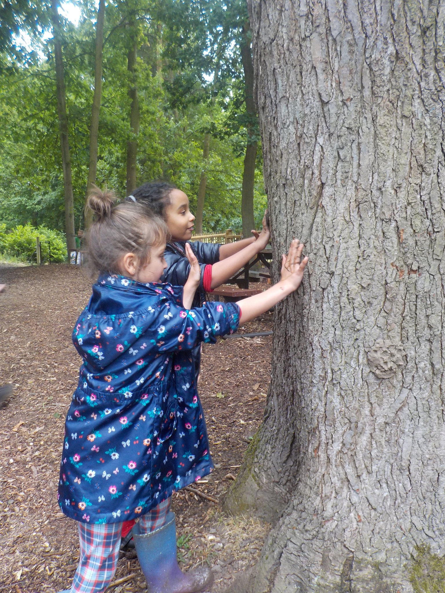 Image of Painshill Park