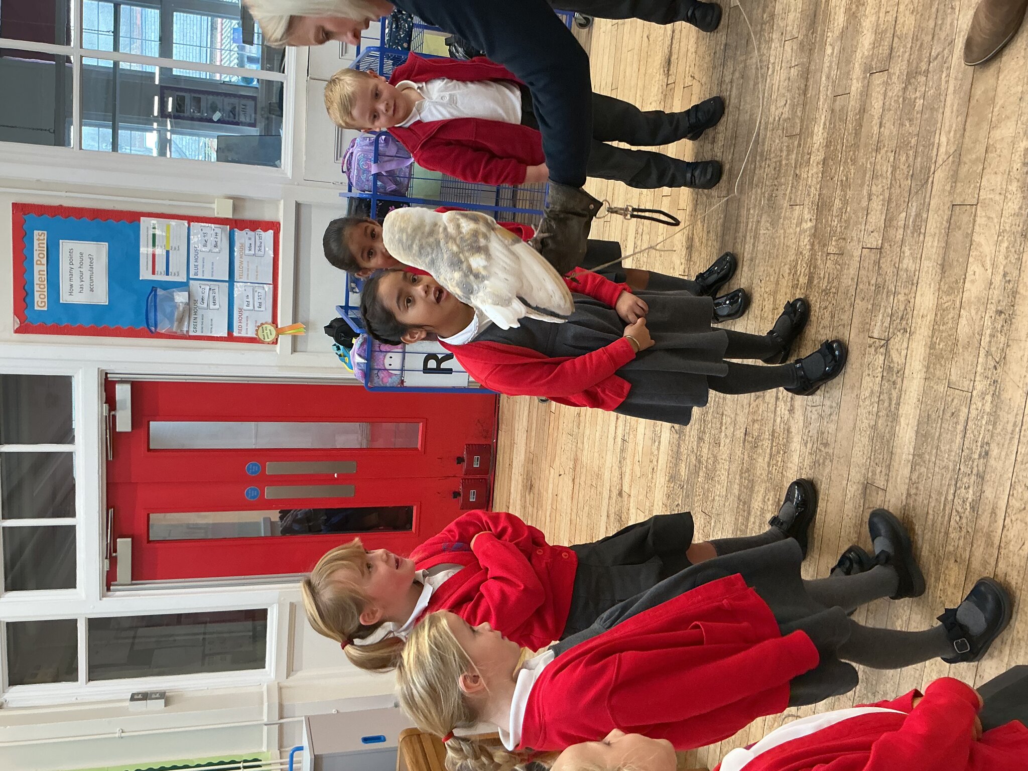 Image of Year 1 Owl visit 