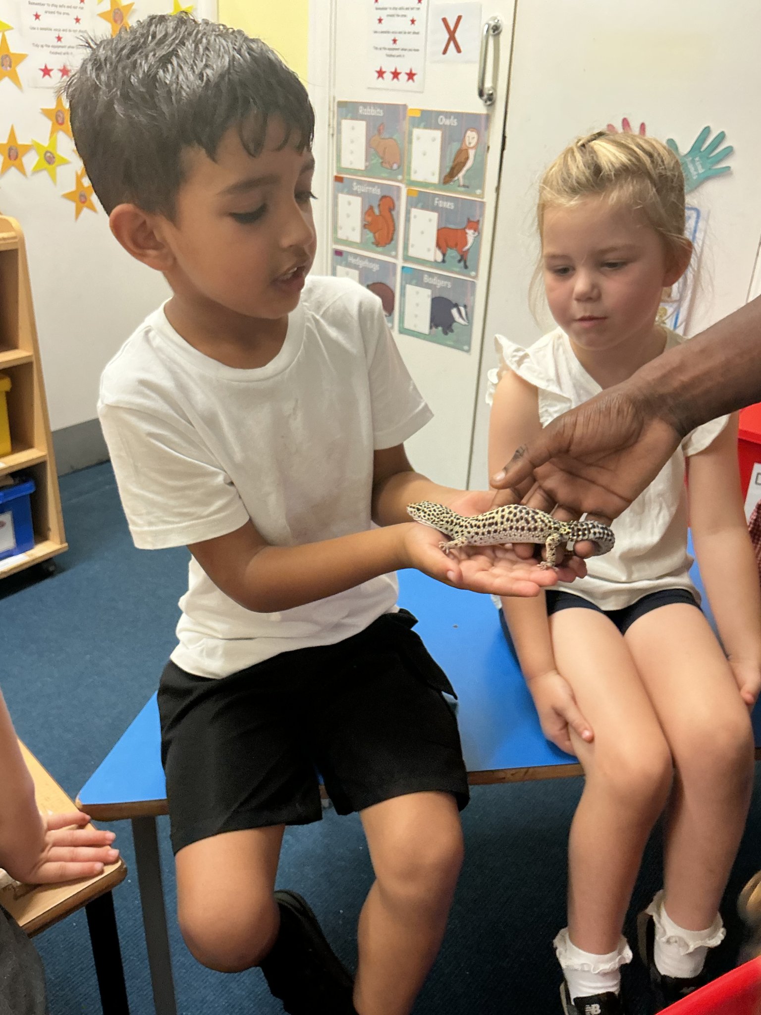 Image of Zoolab Visits Reception Class 2026